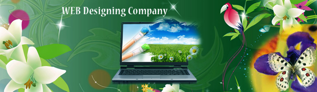 Best Web designing Company