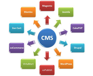CMS Website Development Company Mumbai