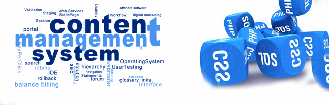 CMS Website Development Services