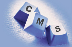Content Management Systems India