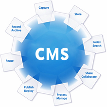 Customized CMS
