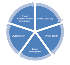 Drupal Websites